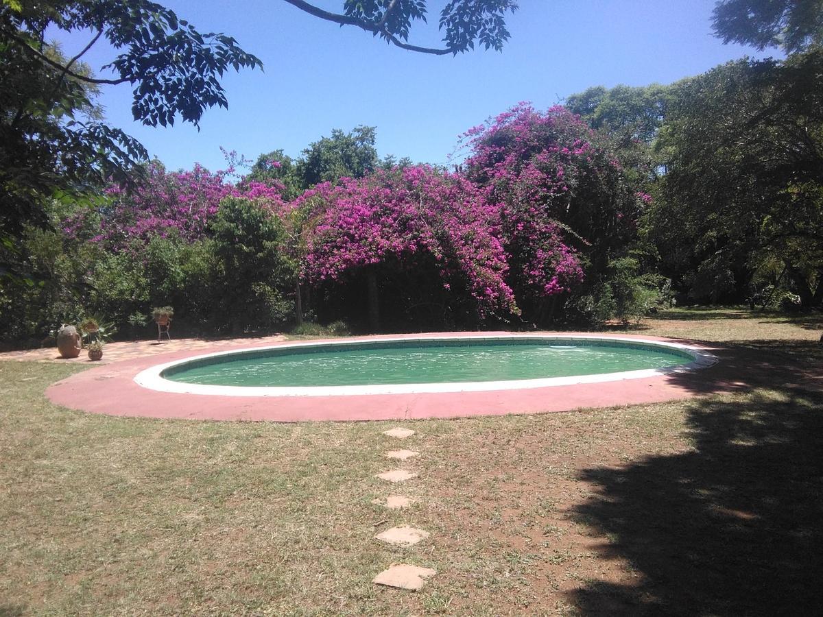 Limerick Cottages Bulawayo Dış mekan fotoğraf
